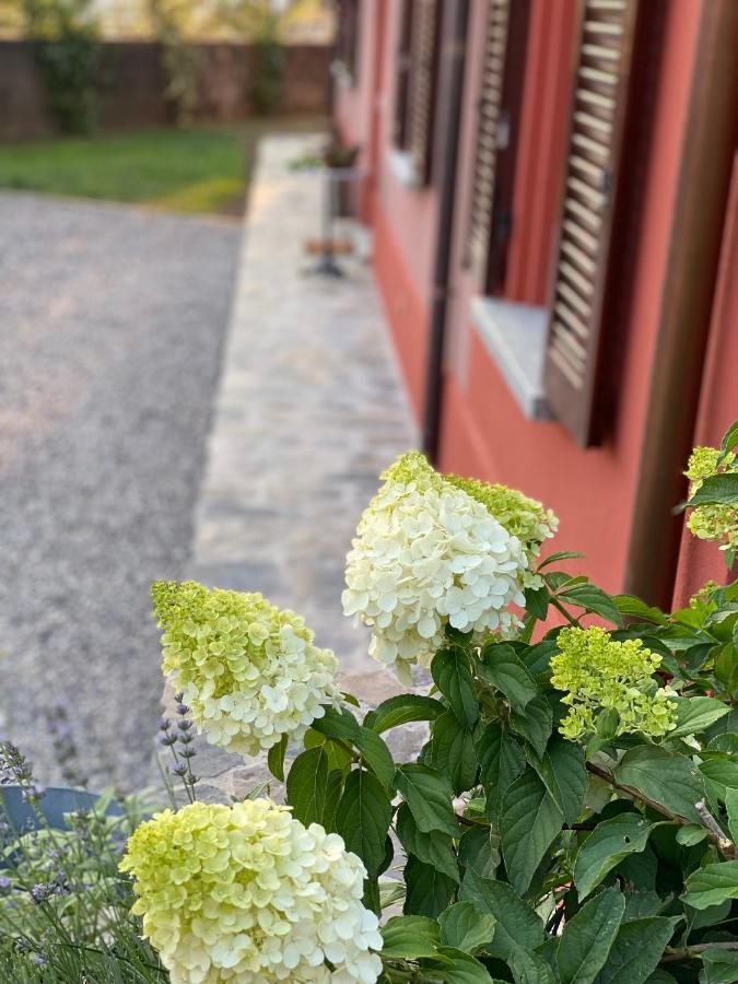 Il Mallo Verde - Lake Como B&B Mandello del Lario Bagian luar foto