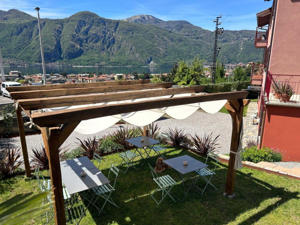 Il Mallo Verde - Lake Como B&B Mandello del Lario Bagian luar foto