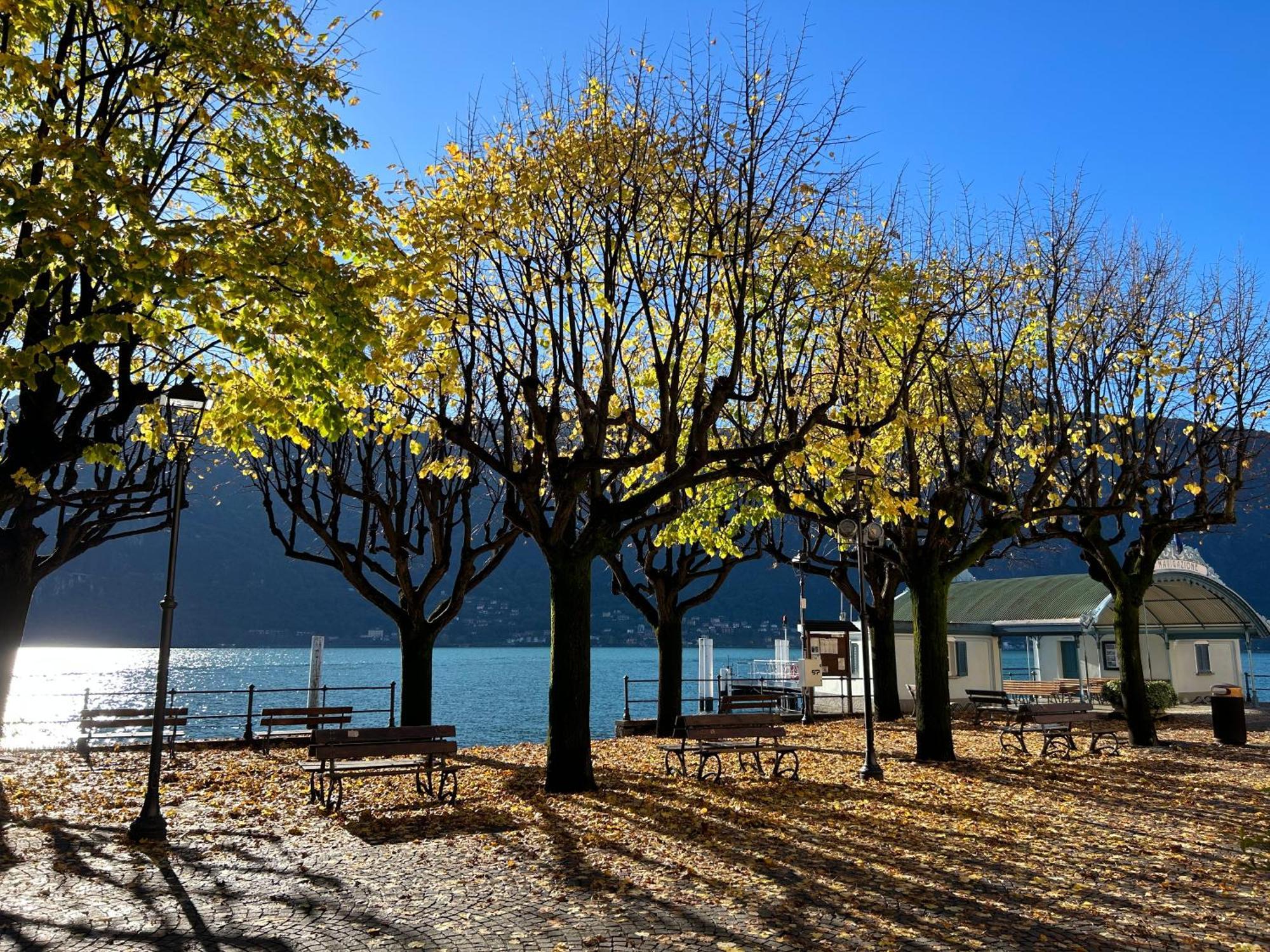 Il Mallo Verde - Lake Como B&B Mandello del Lario Bagian luar foto